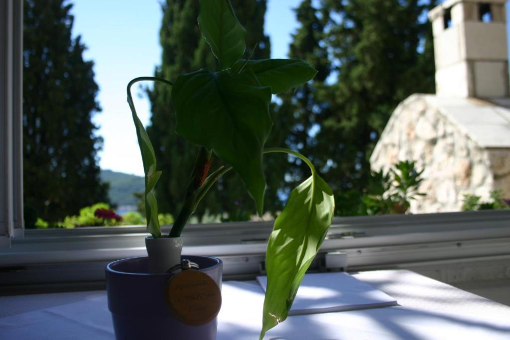 Apartments Dubrovnik Center חדר תמונה